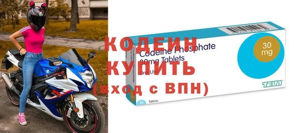 индика Ельня