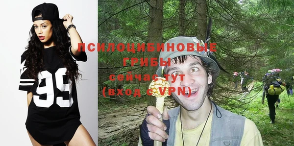 таблы Белокуриха