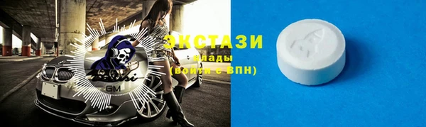 индика Дубна