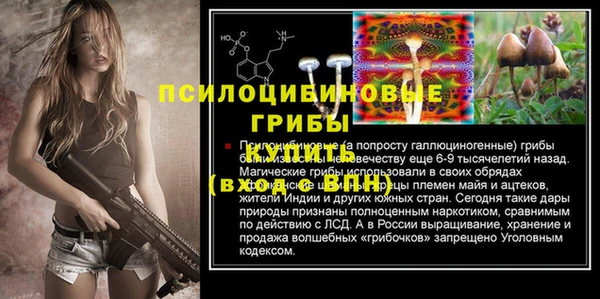 mdpv Армянск