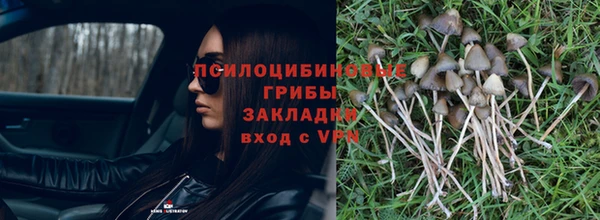 таблы Белокуриха